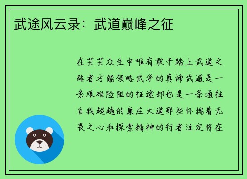 武途风云录：武道巅峰之征